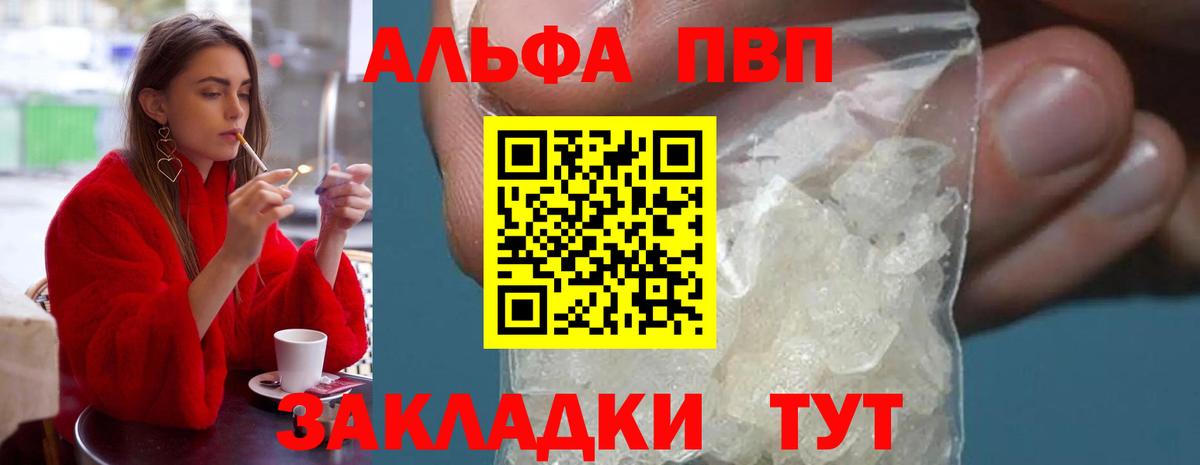 Альфа ПВП СК КРИС Карабулак