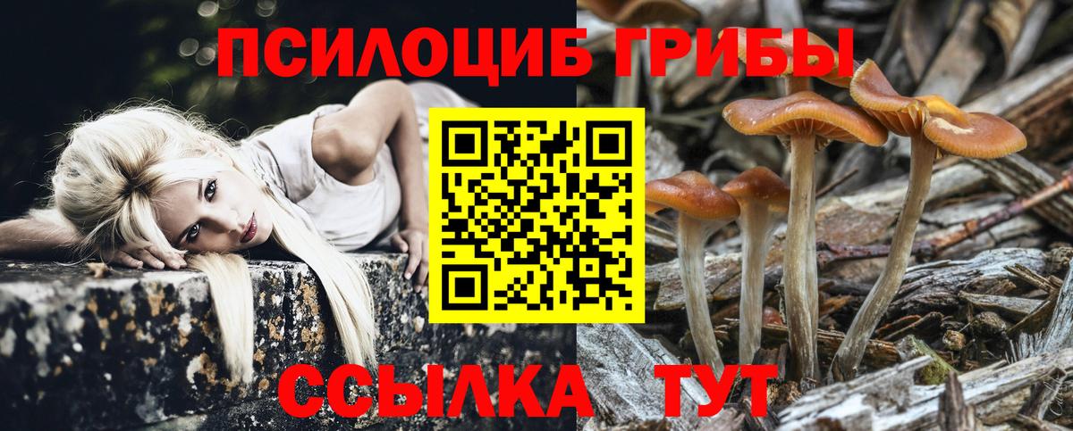 Псилоцибиновые грибы ЛСД  Карабулак 